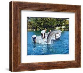 Flipper-null-Framed Photo