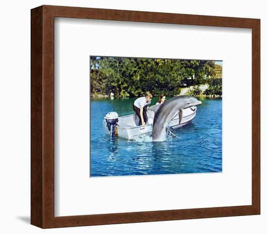 Flipper-null-Framed Photo