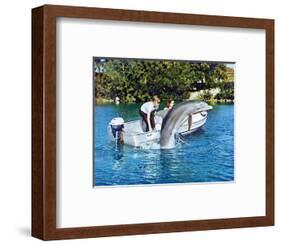 Flipper-null-Framed Photo