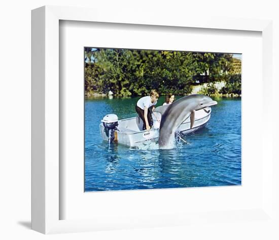 Flipper-null-Framed Photo