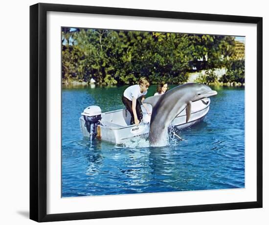 Flipper-null-Framed Photo