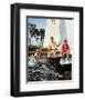 Flipper-null-Framed Photo