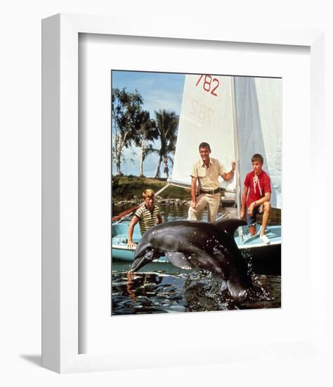 Flipper-null-Framed Photo