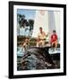 Flipper-null-Framed Photo