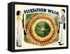 Flirtation Walk, Ruby Keeler, Dick Powell, 1934-null-Framed Stretched Canvas