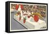 Float, Cherry Festival, Traverse City, Michigan-null-Framed Stretched Canvas