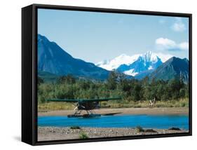 Float Plan on Salmon Stream, Katmai National Park, Alaska, USA-Dee Ann Pederson-Framed Stretched Canvas