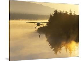 Float Plane on Beluga Lake at Dawn, Alaska, USA-Adam Jones-Stretched Canvas