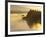 Float Plane on Beluga Lake at Dawn, Alaska, USA-Adam Jones-Framed Photographic Print