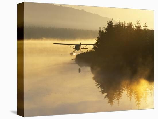 Float Plane on Beluga Lake at Dawn, Homer, Alaska, USA-Adam Jones-Stretched Canvas