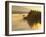 Float Plane on Beluga Lake at Dawn, Homer, Alaska, USA-Adam Jones-Framed Photographic Print