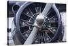 Float Plane Propeller, Alaska-Gavriel Jecan-Stretched Canvas