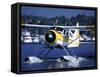 Float Plane Taxiing to Terminal on Lake Union, Washington, USA-William Sutton-Framed Stretched Canvas