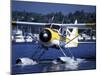 Float Plane Taxiing to Terminal on Lake Union, Washington, USA-William Sutton-Mounted Photographic Print