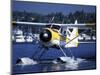 Float Plane Taxiing to Terminal on Lake Union, Washington, USA-William Sutton-Mounted Photographic Print