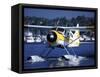 Float Plane Taxiing to Terminal on Lake Union, Washington, USA-William Sutton-Framed Stretched Canvas