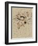 Floatbot Fish-Craig Snodgrass-Framed Giclee Print