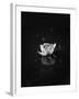 Floating 2-Design Fabrikken-Framed Premium Photographic Print