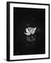 Floating 2-Design Fabrikken-Framed Premium Photographic Print