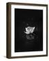 Floating 2-Design Fabrikken-Framed Photographic Print