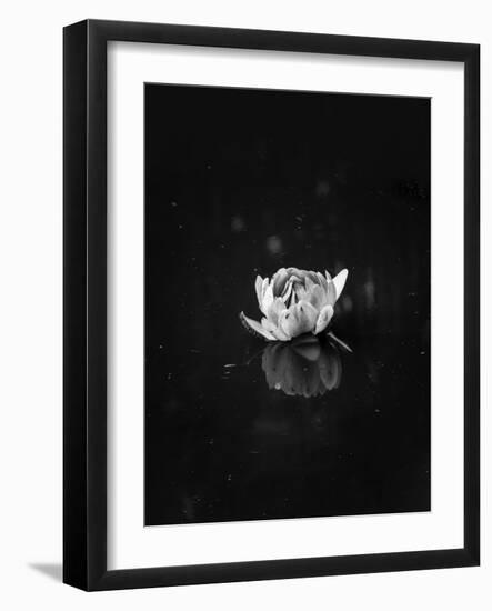 Floating 2-Design Fabrikken-Framed Photographic Print