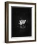 Floating 2-Design Fabrikken-Framed Photographic Print