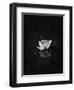 Floating 2-Design Fabrikken-Framed Photographic Print