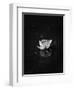 Floating 2-Design Fabrikken-Framed Photographic Print