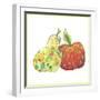 Floating Apple And Pear-Lisa Katharina-Framed Giclee Print