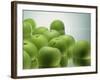 Floating Apples, 1995-Norman Hollands-Framed Photographic Print