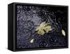 Floating Autumn Leaves are Seen in a Koi Pond-Rick Bowmer-Framed Stretched Canvas