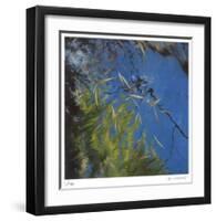 Floating Bamboo-Jan Wagstaff-Framed Limited Edition