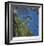 Floating Bamboo-Jan Wagstaff-Framed Limited Edition