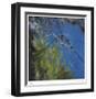 Floating Bamboo-Jan Wagstaff-Framed Limited Edition