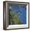 Floating Bamboo-Jan Wagstaff-Framed Limited Edition