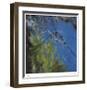 Floating Bamboo-Jan Wagstaff-Framed Limited Edition