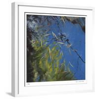 Floating Bamboo-Jan Wagstaff-Framed Limited Edition