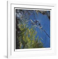 Floating Bamboo-Jan Wagstaff-Framed Limited Edition