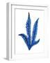 Floating Blue Plant-Jasmine Woods-Framed Art Print