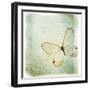 Floating Butterfly I-Debra Van Swearingen-Framed Art Print