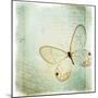 Floating Butterfly I-Debra Van Swearingen-Mounted Art Print