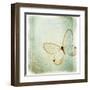 Floating Butterfly I-Debra Van Swearingen-Framed Art Print