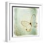 Floating Butterfly I-Debra Van Swearingen-Framed Art Print