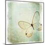 Floating Butterfly I-Debra Van Swearingen-Mounted Art Print