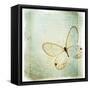 Floating Butterfly I-Debra Van Swearingen-Framed Stretched Canvas