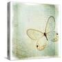 Floating Butterfly I-Debra Van Swearingen-Stretched Canvas