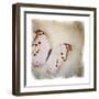 Floating Butterfly II-Debra Van Swearingen-Framed Art Print