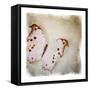 Floating Butterfly II-Debra Van Swearingen-Framed Stretched Canvas