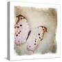 Floating Butterfly II-Debra Van Swearingen-Stretched Canvas