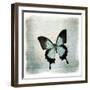 Floating Butterfly III-Debra Van Swearingen-Framed Art Print